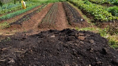 CMN amplia socorro a produtores afetados pelo clima