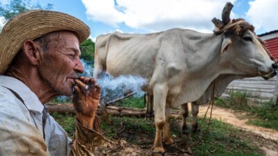 Mostra gratuita com 67 artistas ocupa Parque Glória Maria no Rio