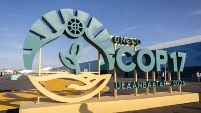 Estados do Nordeste tentam atrair investimentos para Caatinga na COP17